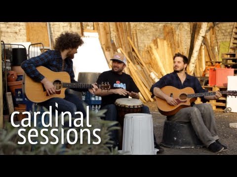 Dispatch - Flying Horses - CARDINAL SESSIONS