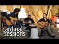Dispatch - Flying Horses - CARDINAL SESSIONS