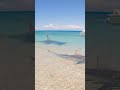 GIANT SHARK Attacks Small Shark