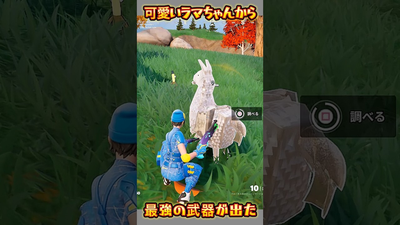 【FORTNITE】可愛いラマちゃんから