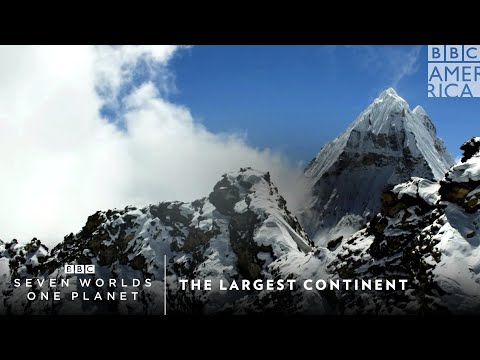 最大の大陸｜7つの世界、1つの惑星｜土曜21時｜BBCアメリカ (The Largest Continent | Seven Worlds, One Planet | Saturdays 9pm | BBC America)
