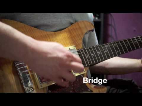 Railhammer Nuevo 90 PRS SE Custom Semi Hollow Sound Test