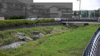 丸山橋映像監視局