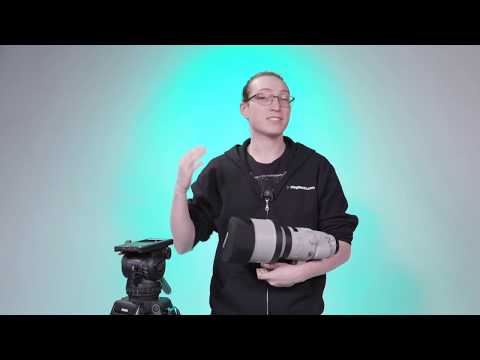 Live Stream - Build of the Day: Arri Alexa Mini and Canon 200-400mm