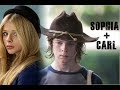Sophia + Carl [The Walking Dead ] | almost lover ...