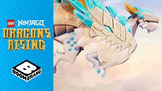 Dragons Vs Monsters | Ninjago: Dragons Rising | @BoomerangUK