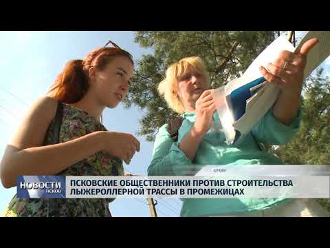 Новости Псков 11.10.2018 # Общественники против строительства лыжероллерной трассы в Промежицах 