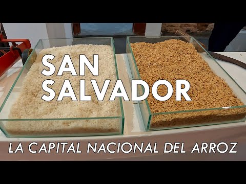 La Capital Nacional del ARROZ | San Salvador, Entre Ríos