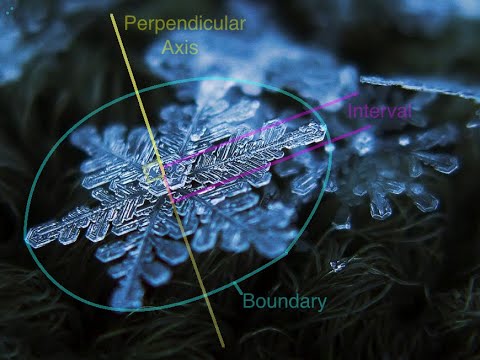 Week in Review with Doooovid - Episode 141 - 13-02-22