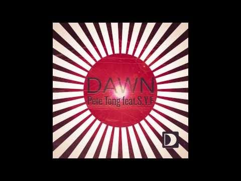 Pete Tong Feat. S.Y.F - Dawn (Hot Since 82 Remix)