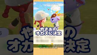 【#あつ森 】島1番の女たらしのやさお君に選ばれたのは…!?!?!#どうぶつの森 #あつまれどうぶつの森