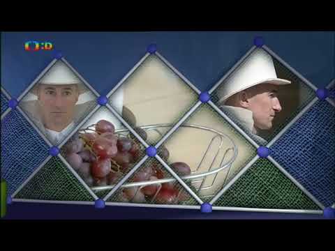 Numberjacks - The Numbertaker Song (Czech)