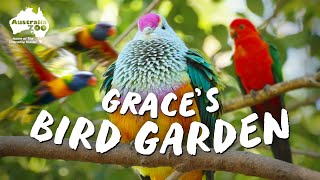 A Walk Through Grace's Bird Garden