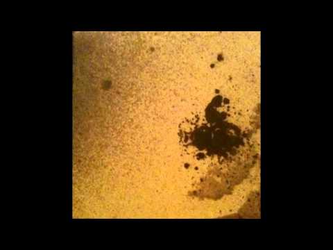 No Neck Blues Band - A Daisy Chain for Richard Wright