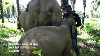Project Report: Protection of Sumatran Elephant & Habitat through Conservation Response Units (CRUs)