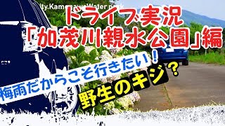 【ドライブ実況】「加茂川親水公園 編」
