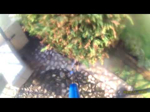 Pulizia cortile in porfido, che fare? 2