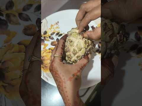 custard apple peeling #shorts#youtubeshorts#Rupika'S vlogs