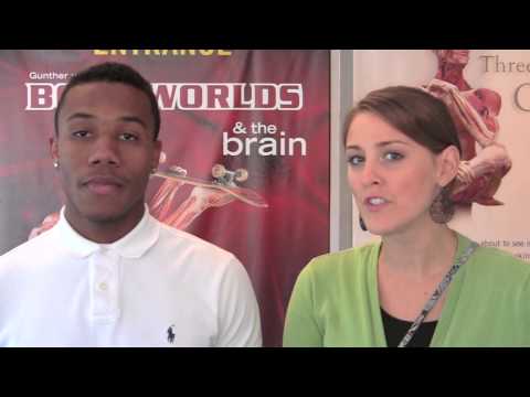 COSI Guest Reactions to "Gunther von Hagens' BODY WORLDS & the Brain," Part 1