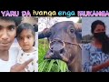Insta Reels Troll Videos Instagram Celebrity Troll Videos Insta Trolltamil