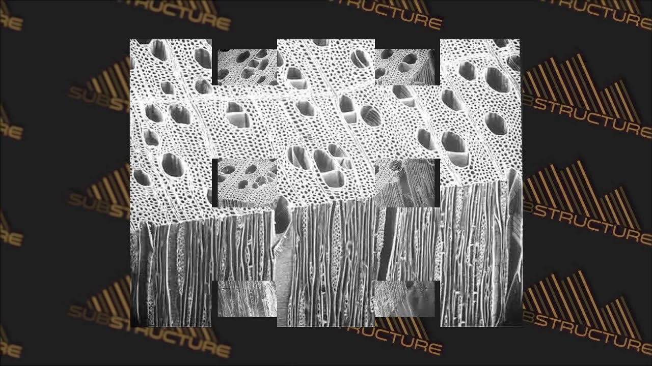 Introducing SubStructure