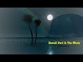 Hawaii Part Ii The Whale A Video Essay