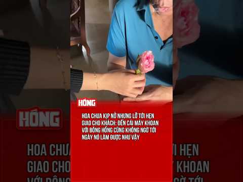 M chưa nở hả mài, vậy thì để t 🤣🤣 #funnynews #tintuc #funny