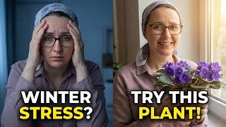 7 Winter Houseplants That Heal Emotional Stress and Bloom All Season