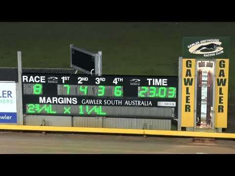 Gawler-17072022-Race-8