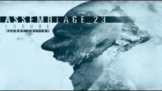 ASSEMBLAGE 23 - &quot;Salt The Earth&quot; (Original Mix + AngelTheory Remix, 2016)