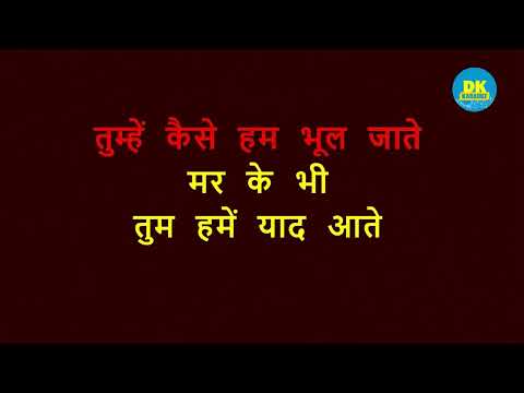 Pyar Ke Liye Char Pal || Dil Kya Kare || Hindi Karaoke