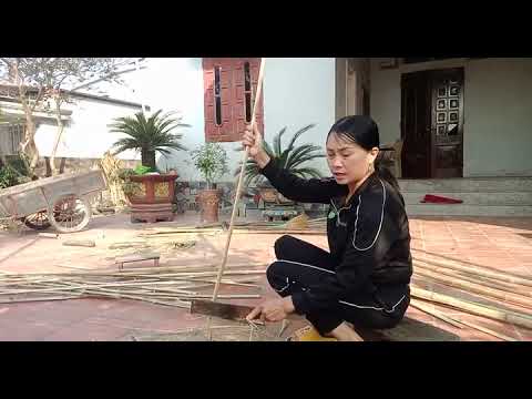 Enumerative Geometry and Gromov-Witten Invariants education history