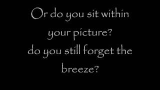 Elephan - Damien Rice (lyrics)