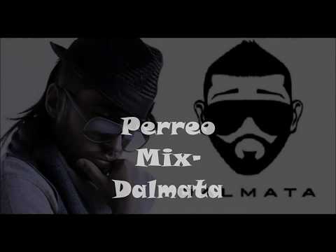 Video thumbnail for Perreo Mix