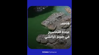 أزيد من 100 تمساح "مقدس" يعبد في ضريح "كراتشي" الذي يعود تاريخه إلى قرون thumbnail