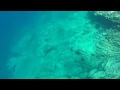 Maritime - Isis (Mike Patton remix)