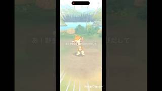 ヒコザル大 #pokemongo #pokemon #ポケgo #ポケモン #ポケモンgo #pokémon #ポケモン