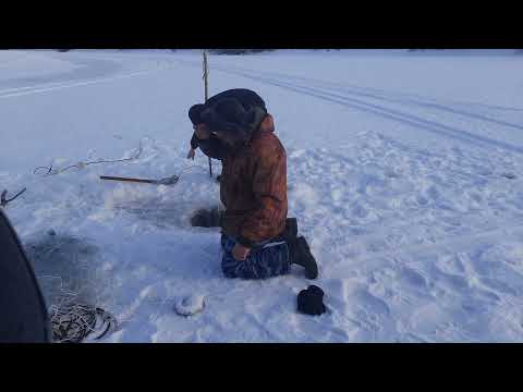 Как быстро поставить рыболовную сеть под лёд.