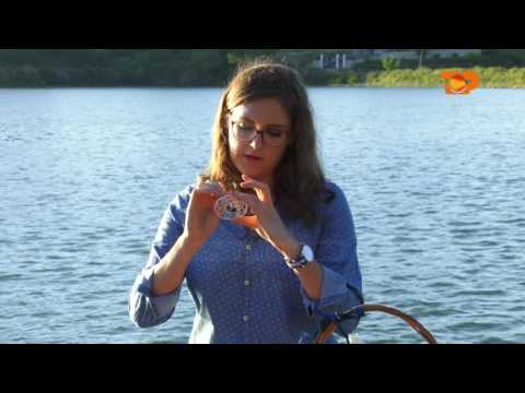 Ne Shtepine Tone, 9 Nentor 2016, Pjesa 5 - Top Channel Albania - Entertainment Show