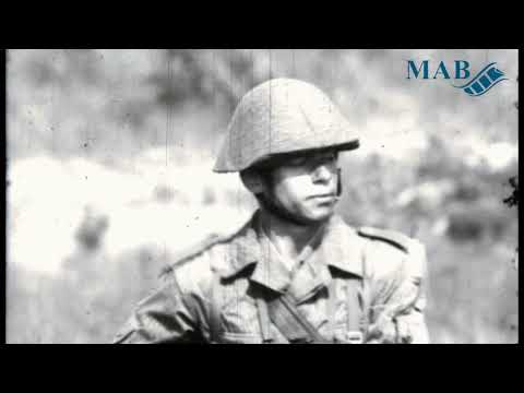 NVA: NATO-Panzerangriff abwehren