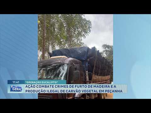 Operação “Eucalipto”: Ação combate furto de madeira e produção ilegal de carvão em Peçanha.