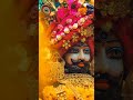 Khatu Wale Shyam Bhupendra Khatana