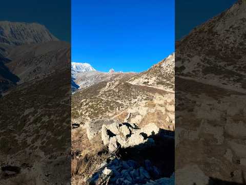 #travel #adventure #natural #nepal #viralvideo#himali animals🐐🐐🐐😱😱😱