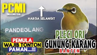 Download lagu CHARACTERISTICS OF THE ORIGINAL GUNUNG KARANG PLECI DIRECT FROM CIDAHU - BANTEN 2021 mp3