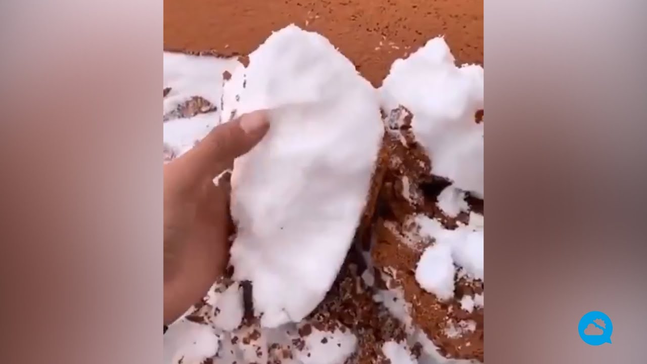 youtube video id=YafnR4WhJn0