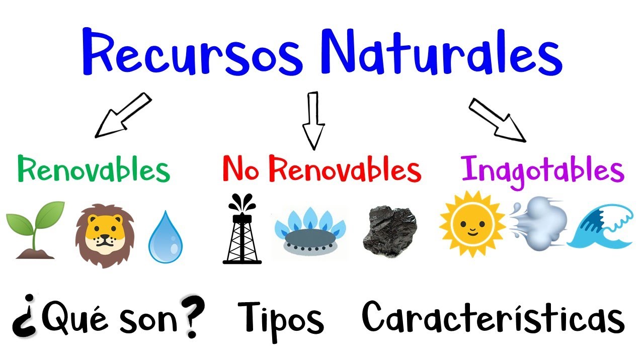 🌳 Recursos Naturales: Renovables, No Renovables, Inagotables 🌞 Ejemplos [Fácil y Rápido]