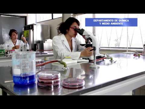 USM - Capacitación e Investigación en la Sede Viña del Mar