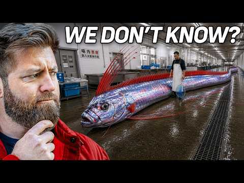 Why Do Deep Sea Creatures Evolve Into Giants?