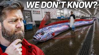 Download lagu Why Are Deep Sea Creatures Evolving Into Giants mp3