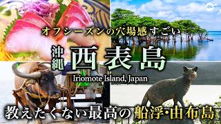 沖縄・西表島1泊2日ひとり旅が人生最高すぎた！船浮・由布島おすすめ絶景スポット【八重山諸島・東洋のガラパゴス・グルメ・離島・旅行・観光】ちょいもーりー